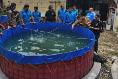 KNPI Kota Cirebon Ubah Lahan Sempit Jadi Mesin Ekonomi untuk Kemandirian Pemuda