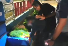 Tanam Ganja di Dalam Rumah, Pria di Kuningan Terancam 20 Tahun Penjara, Polisi Sebut Kasus Pertama