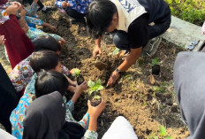 Belajar Bertani Sejak Dini, Mahasiswa KKN Unma Ajari Siswa SD Budidaya Cabai