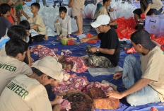 Pelopori Kurban Digital dari Cirebon, Siap Wakafkan Sistem ke Seluruh Indonesia