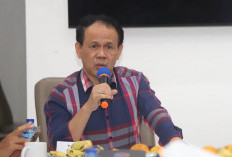 Partai Gelora Siapkan Verifikasi KPU 2027, Struktur DPD Capai 94 Persen