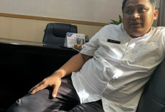 BKPSDM Pastikan Nihil Pegawai Mangkir Kerja setelah Libur Idul Adha