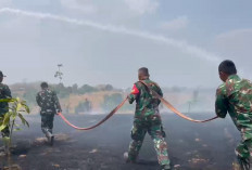 Gercep, Yonif TP 889/GW Jinakkan Karhutla di Blok Cipondoh Indramayu
