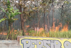 Kebakaran Kebun Jati di Kuningan Diduga Sengaja Ulah OTK