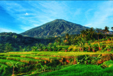 Bukan Cuma Kuningan, BEM dan Mapala Majalengka Ikut Tolak Geothermal Ciremai