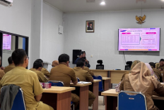 Program Satu Data Pemkab Cirebon Makin Kuat, IPS Naik dan Open Data Hampir Capai 100 Persen