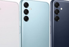 5 HP Samsung 2 Jutaan Terbaik 2026, Chipset Exynos 1330, Super AMOLED 120Hz, Baterai 6000 mAh 