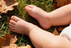 Penemuan Bayi di Lahan Kosong Hebohkan Warga Kuningan