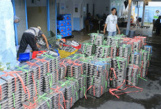 MBG Menggerakkan Ekonomi Daerah: Dapur Gizi Hidupkan UMKM dan Serap Ribuan Tenaga Kerja