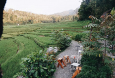 Bosan Nongkrong di Kota? Ini 5 Cafe Bernuansa Sawah dan Pegunungan di Kuningan yang Bikin Betah