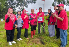 Memperingati HUT ke-79  Megawati, Tanam Pohon  hingga Tebar Benih Ikan 