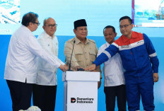Rincian 13 Proyek Hilirisasi yang Dimulai Hari Ini: Pengembangan Kilang hingga Pengolahan Kelapa