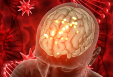 Kenali Brain Rot: Ancaman Nyata dari Kecanduan Short Video yang Bikin Fokus Menurun