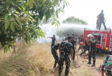 Kebun Kayu Putih Terbakar di Samping Markas Yonif 337/Sutajaya, Api Berhasil Dikendalikan