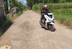 Jalan Tambelang Cirebon Rusak Parah, Warga Desak Perbaikan Segera