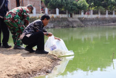 Wali Kota Cirebon Optimalkan Budidaya Ikan untuk Tingkatkan PAD dan Dukung Penanganan Stunting