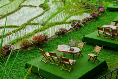 Ngopi Sore Sambil Lihat Hamparan Sawah? Ini 5 Tempat Nongkrong di Kuningan yang Bisa Kamu Coba