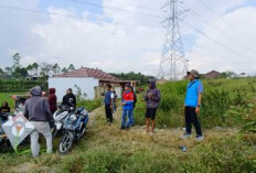 PLN UPT Cirebon Intensifkan Sweeping Layangan di Garut Demi Keandalan Listrik Selama Ramadhan 1447 H