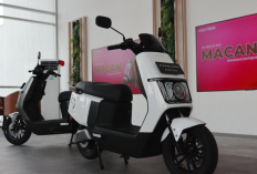 Harga Motor Listrik Polytron Turun Drastis, Subsidi Mandiri Rp6,5 Juta Bikin Fox 200 Cuma Rp12 Jutaan 