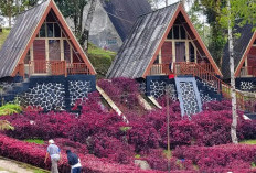 Liburan Nataru di Bandung? Ini Destinasi Keluarga yang Wajib Dikunjungi