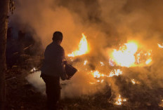 Sehari Dua Kali Kebakaran Lahan Terjadi di Leuwimunding, Warga Diimbau Tak Bakar Sampah Sembarangan