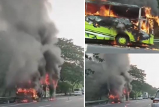 Bus Terbakar di Cipali KM 95 Arah Jakarta, Muncul Asap di Bagian Ini