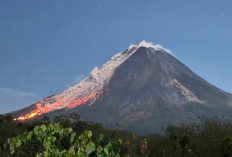 Gunung Merapi Erupsi, Luncuran Lava hingga 2 Km