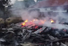 Gudang Material Kayu di Weru Cirebon Terbakar Hebat, Kerugian Capai Rp2,26 Miliar