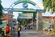 Tak Bisa Lagi Andalkan Impor, Mentan Wajibkan Pabrik Gula Bangun Kebun Tebu Sendiri