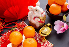 Terungkap! Warna Keberuntungan Shio Tikus 2026 yang Dipercaya Bisa Mengundang Rezeki Besar