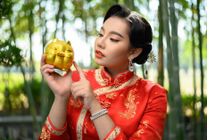 Rezeki hingga Karier Melesat, Ini Dia 7 Shio Paling Beruntung Juli 2026
