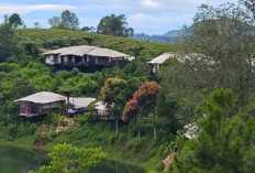 Libur Nataru, Glamping Lakeside Ciwidey Siap Total! Tiket Mulai Rp25 Ribu, Wahana Makin Lengkap