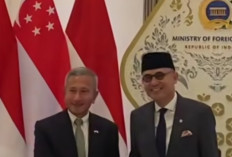 Indonesia-Singapura Sepakat Bentuk Satgas Karhutla, Korporasi Pelaku Kebakaran Bakal Diburu