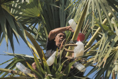 Desa Hendrosari Bangkit: Pembeli Datang, UMKM Tumbuh, Ekonomi Melaju Berkat Pemberdayaan Desa BRILian