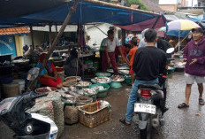DKPP Gencarkan Safari  Gemar Makan Ikan ke Sekolah dan Masyarakat