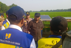 Petani Ligung Terancam Gagal Panen, Bupati Majalengka Turun Tangan Desak BBWS Bergerak Cepat