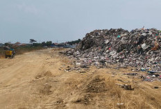 Tumpukan Limbah Pabrik di Pinggir Jalan Lingkar PPI Gebang Cirebon Disorot Warga