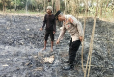 Diduga Terbakar Saat Bersihkan Kebun, Lansia di Lemahabang Cirebon Ditemukan Tewas