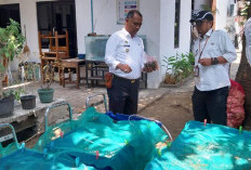 Inovasi Atasi Sampah Organik, Camat Kesambi Inisiasi Budidaya Cacing untuk Bank Pakan