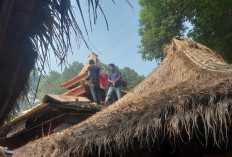 Puncak Tradisi Buka Sirap Buyut Trusmi Dipadati Ribuan Warga, 5.000 Porsi Nasi Dibagikan