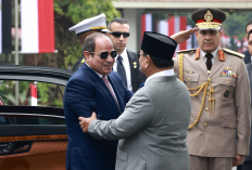 Bertemu di Jakarta, Indonesia dan Mesir Satu Suara Dukung Kemerdekaan Palestina