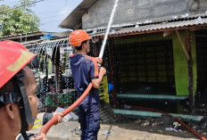 Lebih Sering Evakuasi Tawon hingga Ular, Ini Fakta Mengejutkan Layanan Darurat Damkar Indramayu 2025