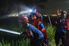 Kebakaran Ilalang di TPU Tegalurung Indramayu Bikin Warga Panik, Diduga Akibat Bakar Sampah