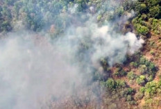 Kebakaran Hutan Melanda 3 Blok di Gunung Ciremai, Api Belum Padam