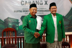 Muhammad Wildan Luthfi Resmi Gabung PPP, Sinyal Kekuatan Politik Baru