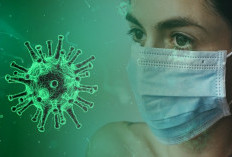 Ebola Kembali Mengancam Dunia, WHO Umumkan Darurat Kesehatan Internasional