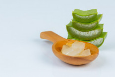 Dari Tanaman Pekarangan Jadi Cuan: Rahasia Sabun Cuci Muka Lidah Buaya yang Aman dan Laris